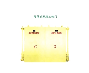 辽宁降落式双扇立转门